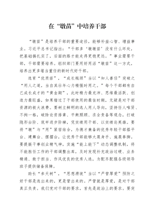 在“墩苗”中培养干部