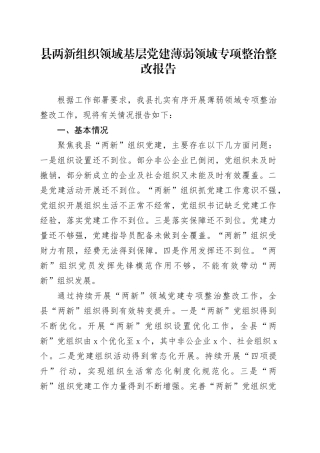 县两新组织领域基层党建薄弱领域专项整治整改报告