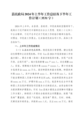县民政局2024年上半年工作总结及下半年工作计划（3531字）