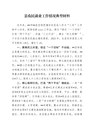 县农民就业工作情况典型材料