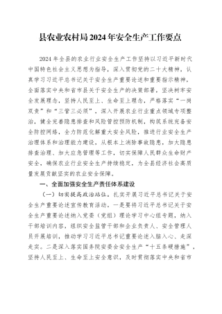 县农业农村局2024年安全生产工作要点（20240410）