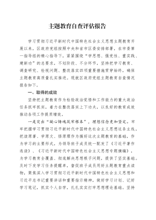 县区主题教育自查评估报告（3800字总结）