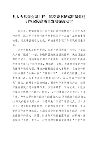 县人大常委会副主任、镇党委书记高质量党建引领保障高质量发展交流发言