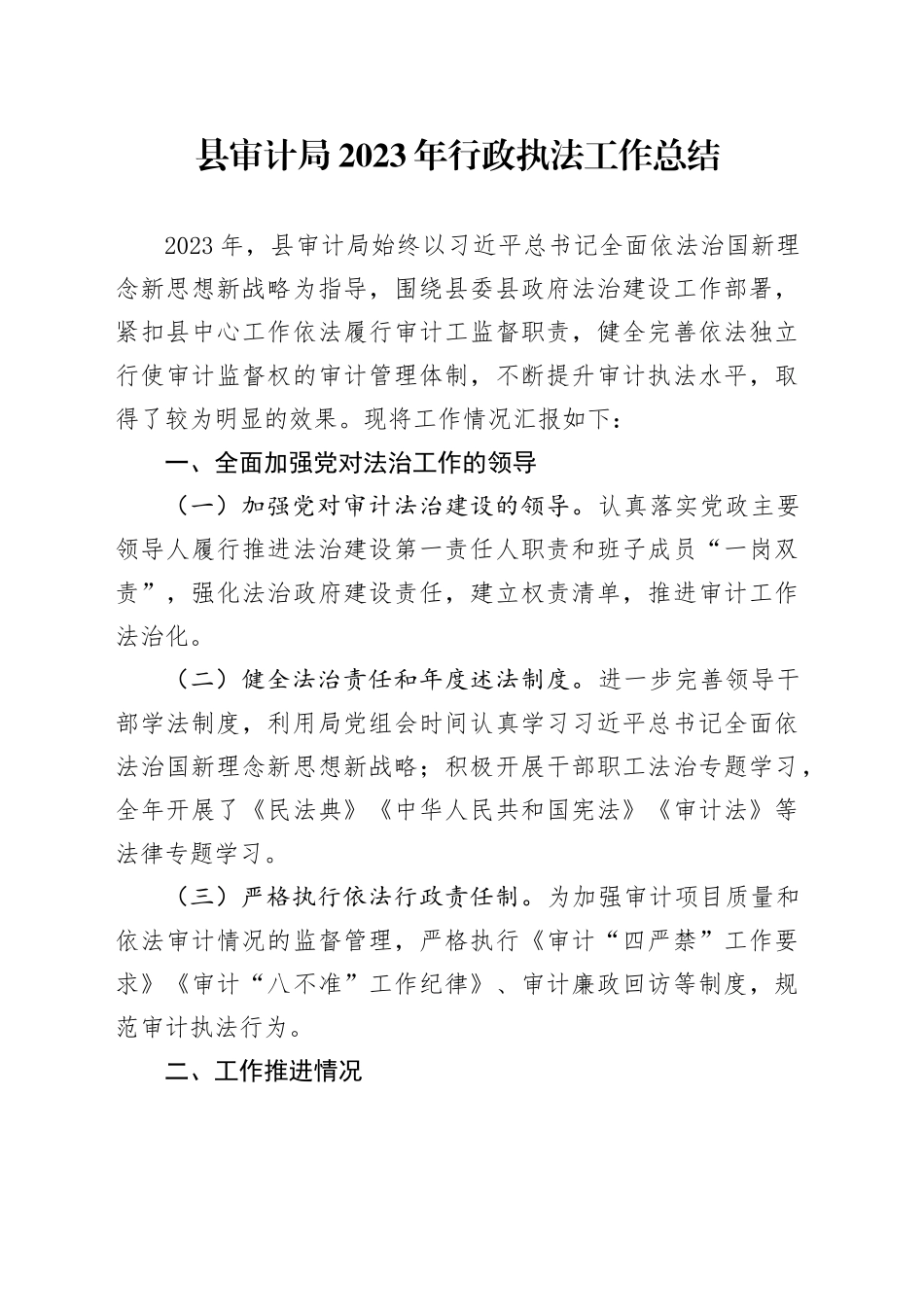 县审计局2023年行政执法工作总结（20240129）_第1页