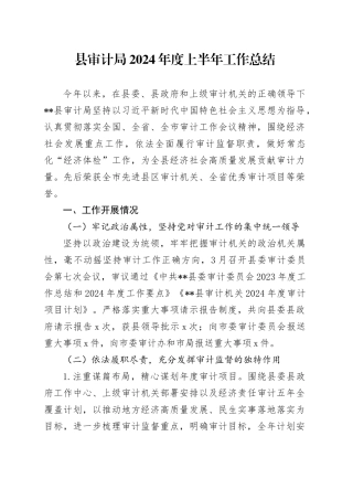 县审计局2024年度上半年工作总结