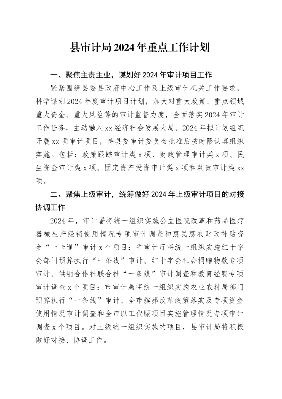 县审计局2024年重点工作计划（20240407）_第1页