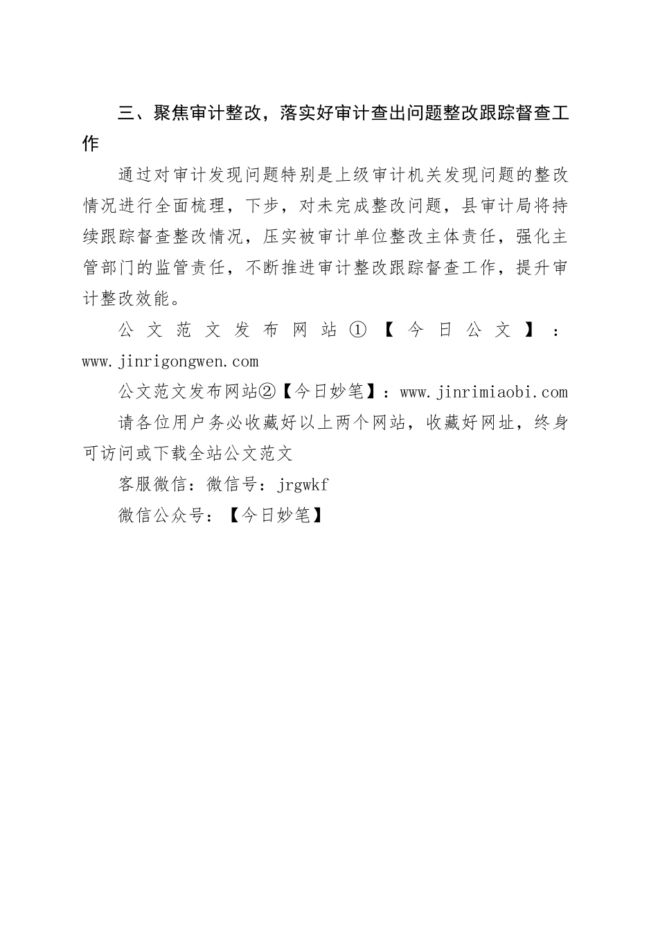 县审计局2024年重点工作计划（20240407）_第2页