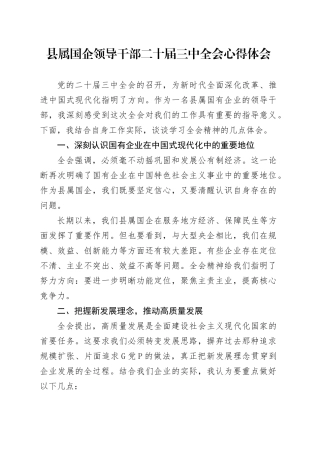 县属国企领导干部二十届三中全会心得体会