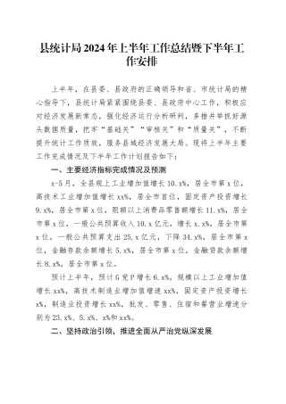 县统计局2024年上半年工作总结暨下半年工作安排1