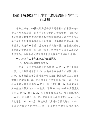 县统计局2024年上半年工作总结暨下半年工作计划