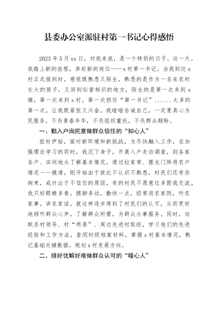 县委办公室派驻村第一书记心得感悟