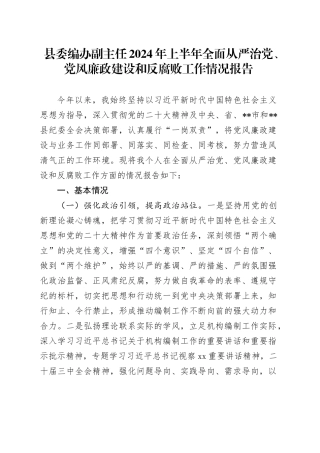 县委编办副主任2024年上半年全面从严治党、党风廉政建设和反腐败工作情况报告