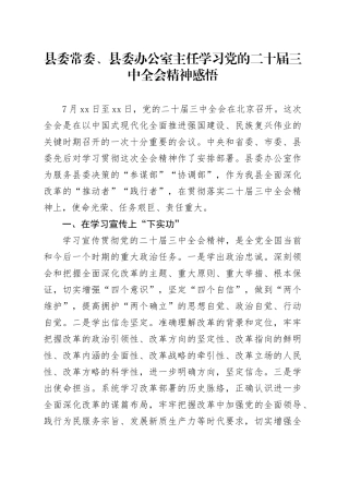县委常委、县委办公室主任学习党的二十届三中全会精神感悟