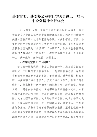 县委常委、县委办公室主任学习贯彻二十届三中全会精神心得体会