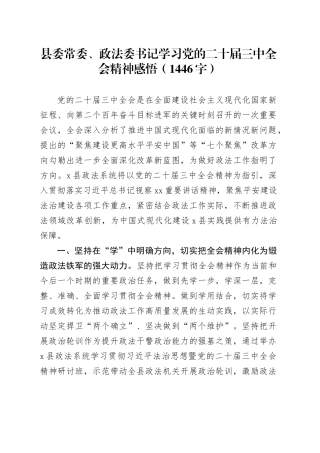 县委常委、政法委书记学习党的二十届三中全会精神感悟（1446字）