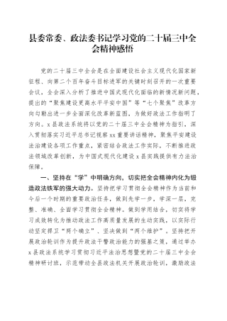 县委常委、政法委书记学习党的二十届三中全会精神感悟