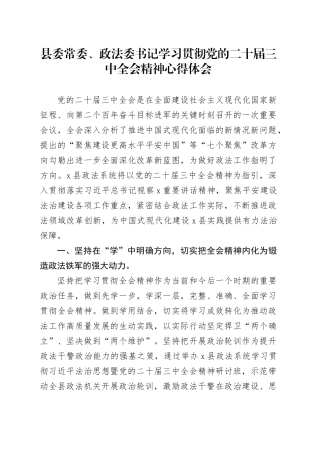 县委常委、政法委书记学习贯彻党的二十届三中全会精神心得体会