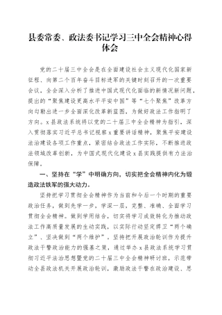 县委常委、政法委书记学习三中全会精神心得体会
