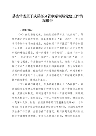 县委常委班子成员抓分管联系领域党建工作情况报告