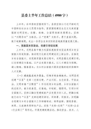 县委上半年工作总结（4980字）