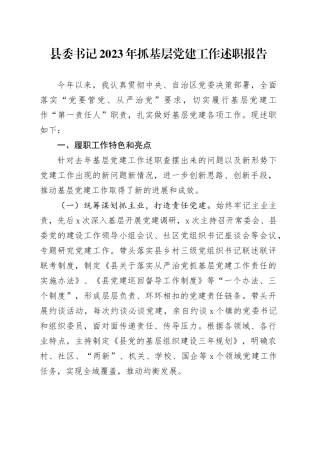 县委书记2023年抓基层党建工作述职报告