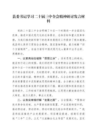 县委书记学习二十届三中全会精神研讨发言材料心得体会20241023