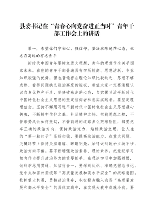 县委书记在“青春心向党奋进正当时”青年干部工作会上的讲话