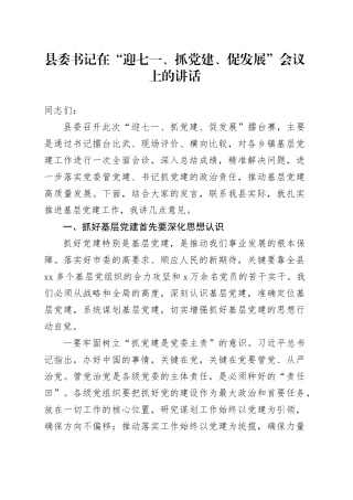 县委书记在“迎七一、抓党建、促发展”会议上的讲话
