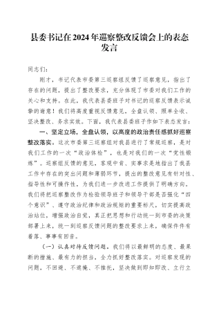 县委书记在2024年巡察整改反馈会上的表态发言