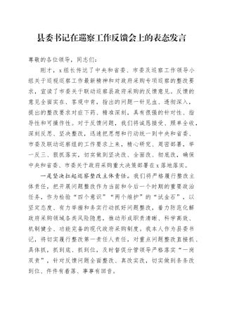 县委书记在巡察工作反馈会上的表态发言