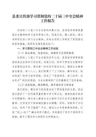县委宣传部学习贯彻党的二十届三中全会精神工作报告含问题总结汇报20240826