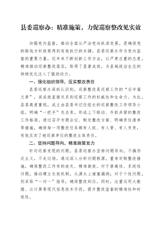 县委巡察办：精准施策，力促巡察整改见实效