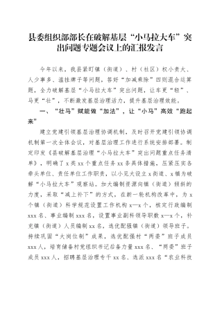 县委组织部部长在破解基层“小马拉大车”突出问题专题会议上的汇报发言