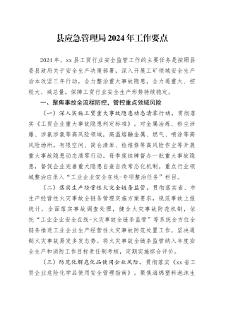 县应急管理局2024年工作要点