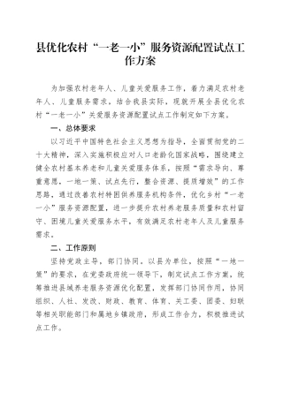 县优化农村“一老一小”服务资源配置试点工作方案