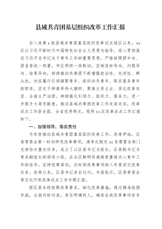 县域共青团基层组织改革工作汇报
