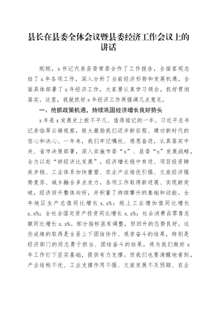 县长在县委全体会议暨县委经济工作会议上的讲话-2
