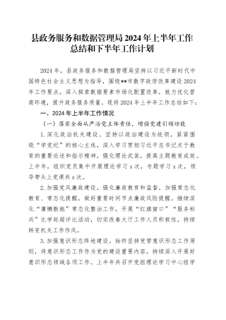 县政务服务和数据管理局2024年上半年工作总结和下半年工作计划