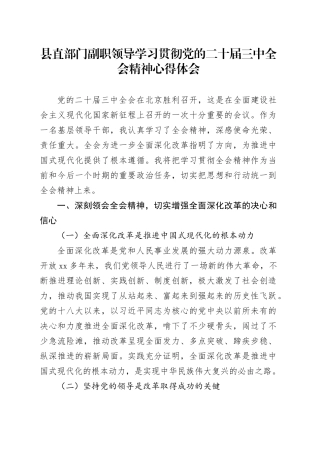 县直部门副职领导学习贯彻党的二十届三中全会精神心得体会20240724