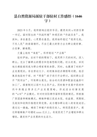 县自然资源局派驻干部驻村工作感悟（1646字）