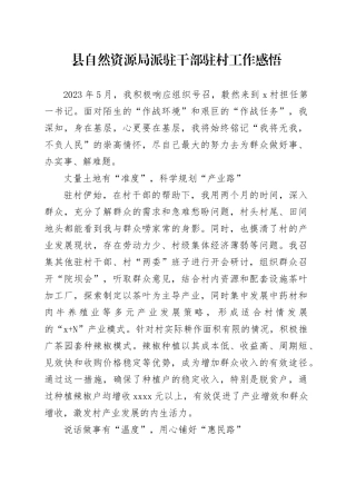 县自然资源局派驻干部驻村工作感悟（心得体会）