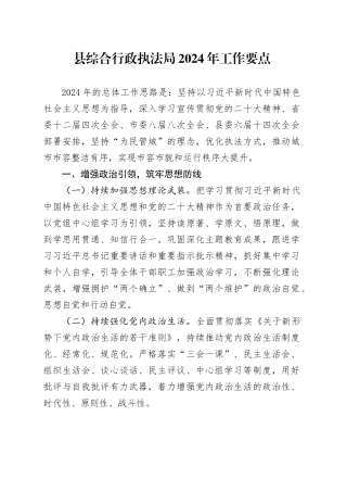 县综合行政执法局2024年工作要点