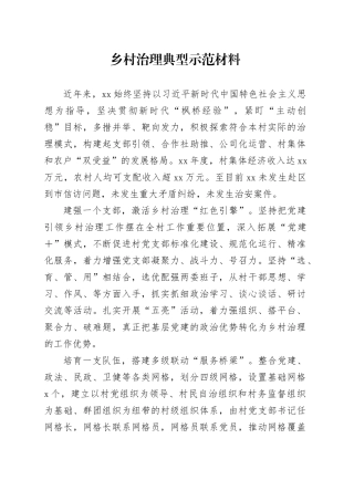 乡村治理典型示范材料