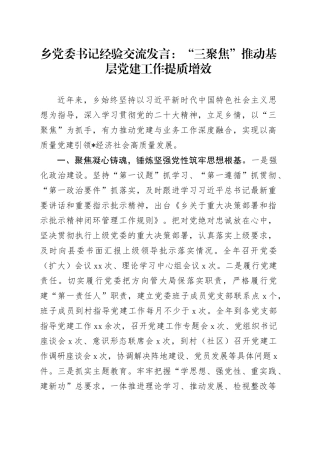 乡党委书记经验交流发言：“三聚焦”推动基层党建工作提质增效