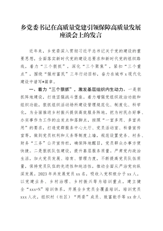 乡党委书记在高质量党建引领保障高质量发展座谈会上的发言
