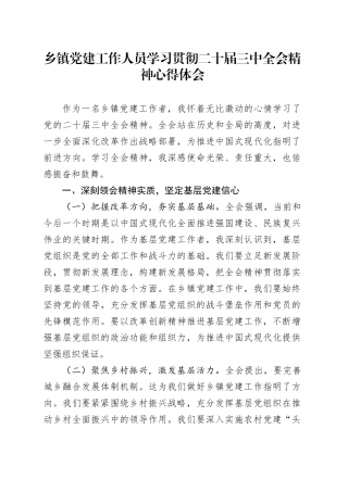乡镇街道党建工作人员学习贯彻二十届三中全会精神心得体会