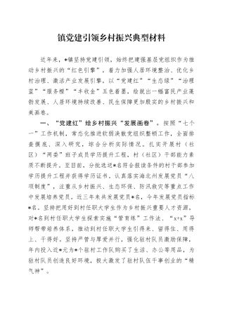 乡镇街道党建引领乡村振兴典型材料