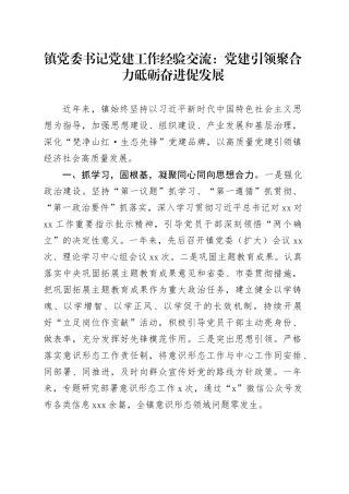乡镇街道党委书记党建工作经验交流：党建引领聚合力  砥砺奋进促发展