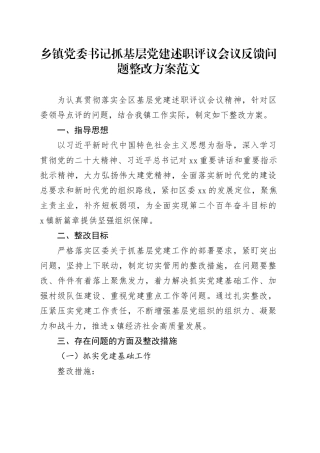 乡镇街道党委书记抓基层党建述职评议会议反馈问题整改方案20240325