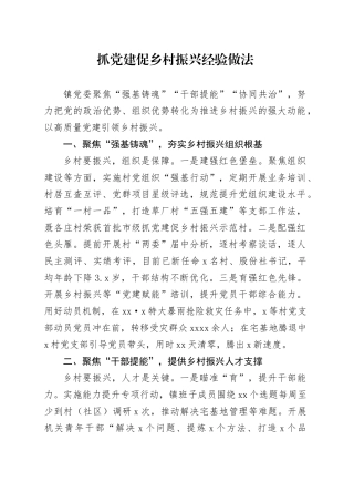 乡镇街道党委抓党建促乡村振兴经验做法